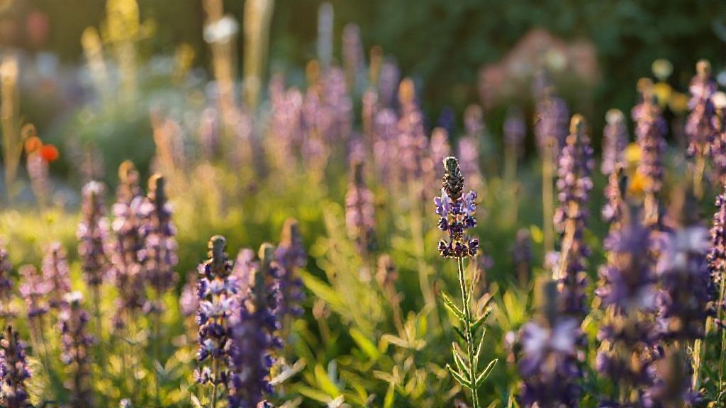 Grüner Daumen für die Seele: Nachhaltig gärtnern leicht gemacht
